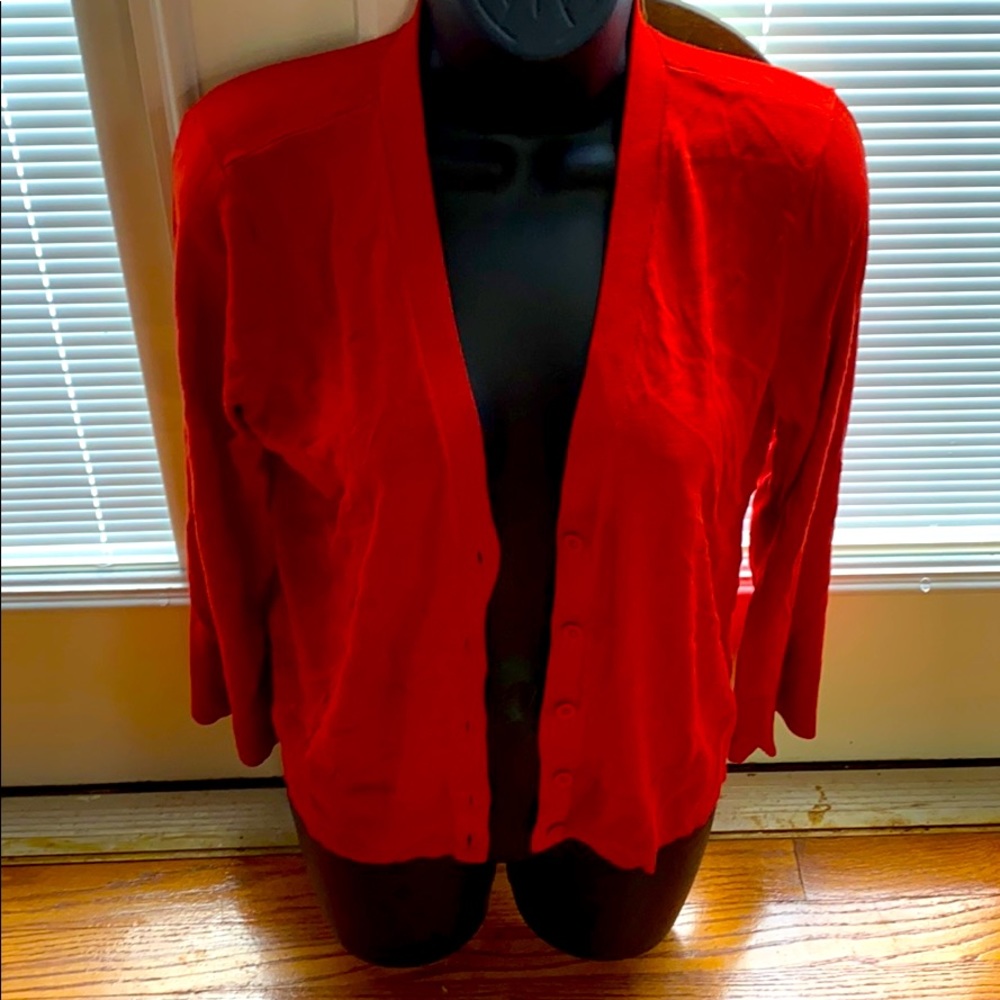 Loft BNWT MP red sweater